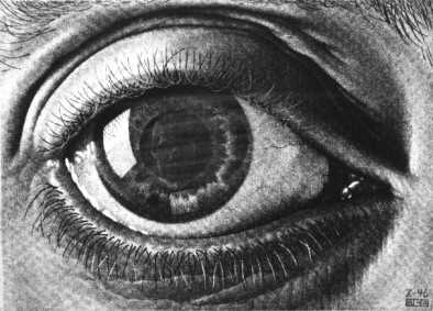 eye.jpg (18460 byte)