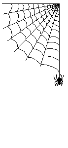 spider.gif (18755 byte)