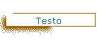 Testo